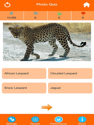 Wild Animals Quiz screenshot 4