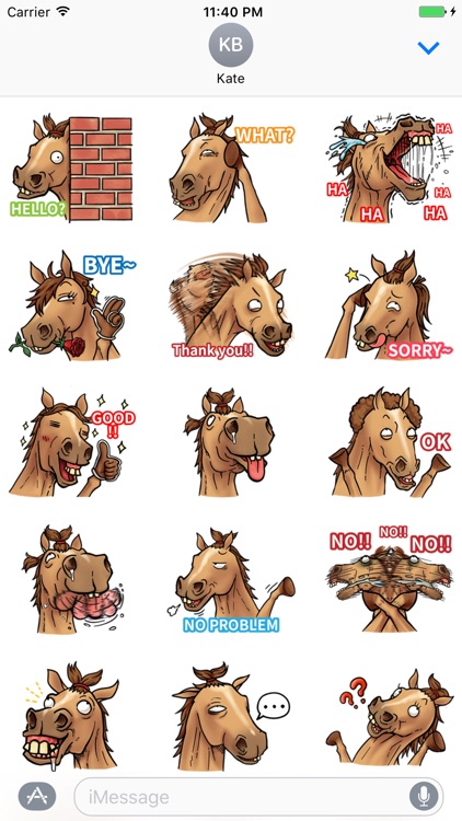 Crazy Horse Stickers