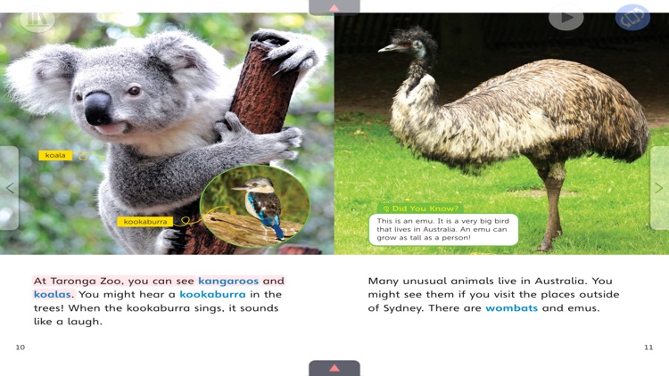 논픽션영어- 웅진 스텝업 리더스 논픽션 시리즈3 고학년 screenshot-3