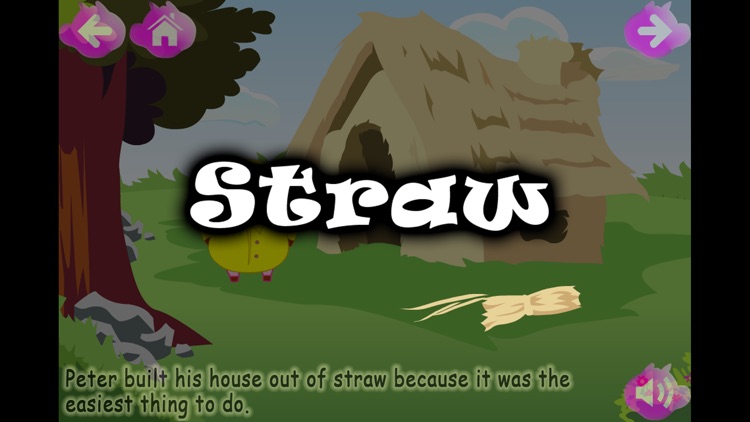 The Three Little Pigs (Kids Story Book)