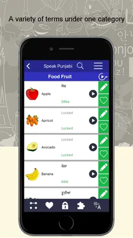 Game screenshot Learn Punjabi Language apk