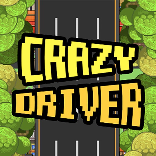 Crazy Driver: Escape The Cops