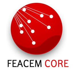 FEACEM CORE