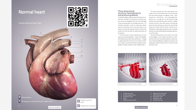 Servet digital. English edition screenshot-3