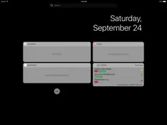 Is It Down? – Uptime Checker Widget iPad image 3