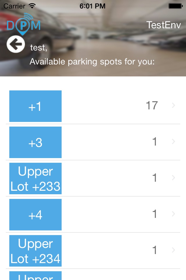 DPM-Dynamic Parking Management screenshot 3