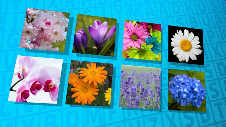 Wordsearch Revealer Bouquet