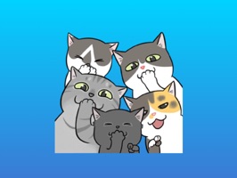 * Big SALE 50% OFF for LIMITED TIME