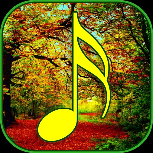 Forest Sounds for Sleep - Ambient Forest Sounds icon