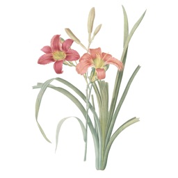 Flower Stickers by Redoute