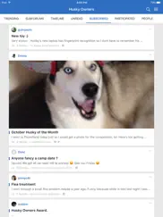 husky owners ipad resimleri 2