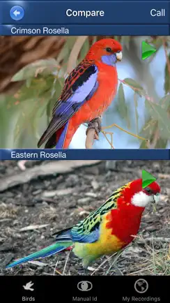 Bird Song Id Australia - Automatic Recognition iPhone image 3