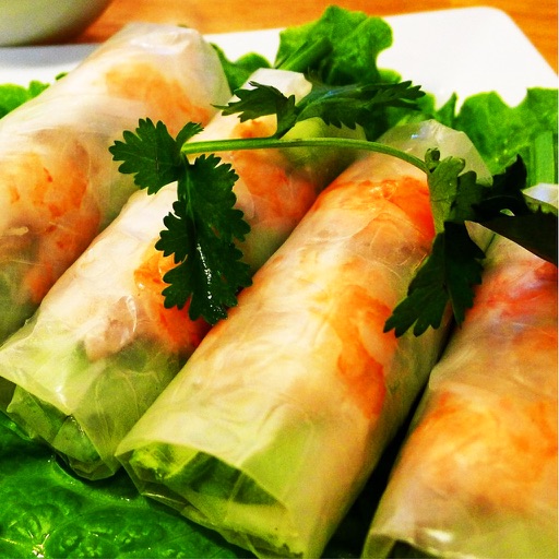Vietnamese Cuisine Recipe iOS App
