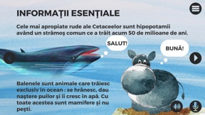 Balene si delfini screenshot