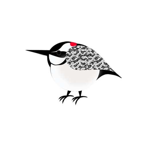 Pretty Birds