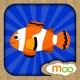 Sea Animals - Puzzles, Games for Toddlers & Kids app icon - Book app for iPhone