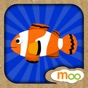 Sea Animals - Puzzles, Games for Toddlers & Kids app download