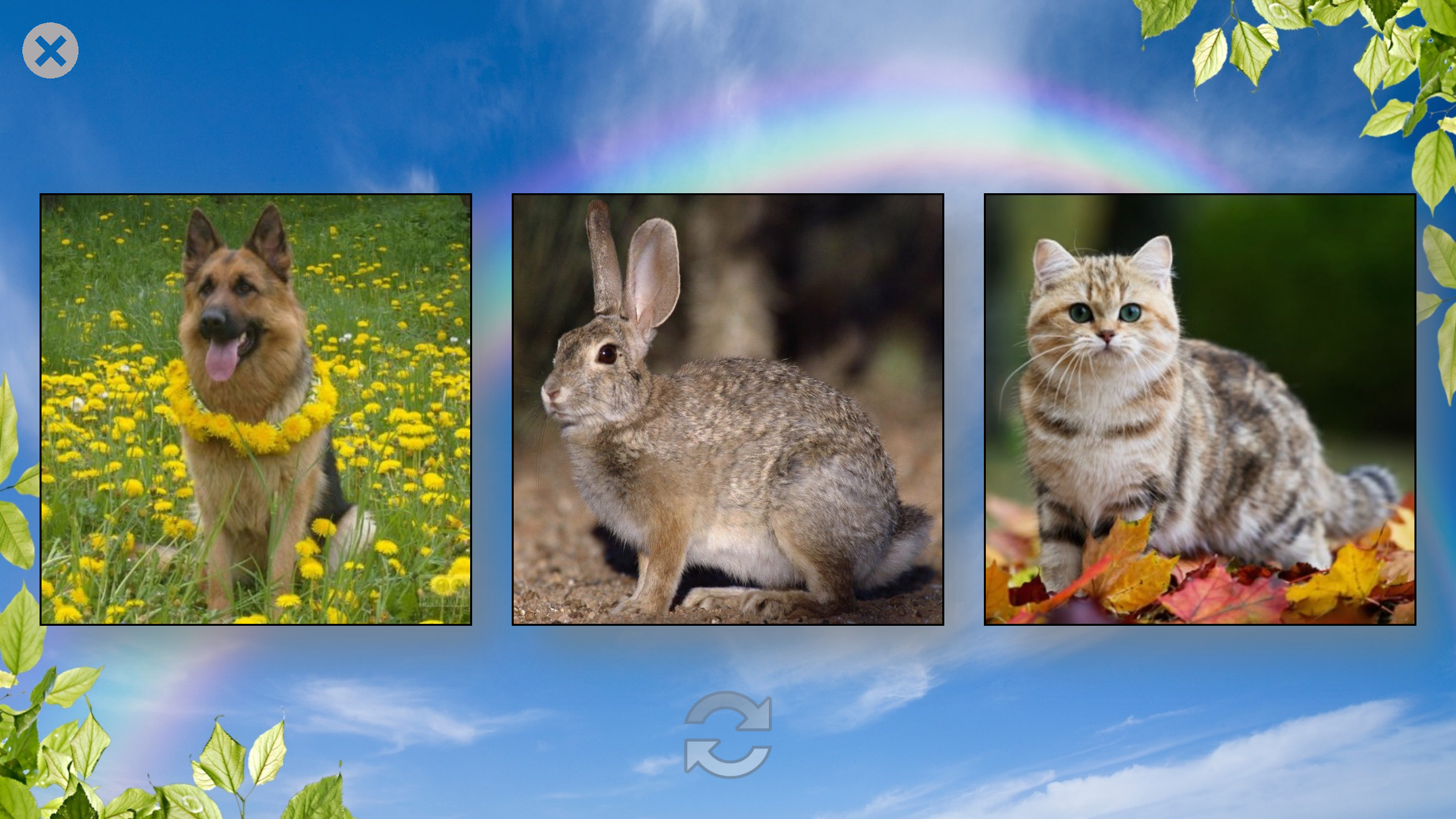 Voices of Animals - Best free application for kids