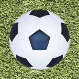 Soccer Club Manager: Run your soccer club