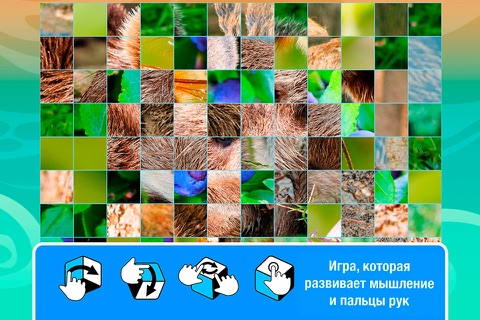 Smart Cubes: forest animals puzzle games for kids screenshot 2