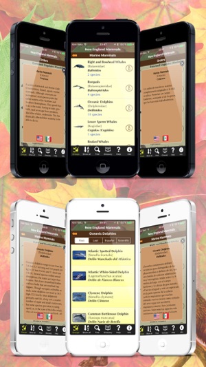 New England Mammals - Guide to Common Species(圖3)-速報App