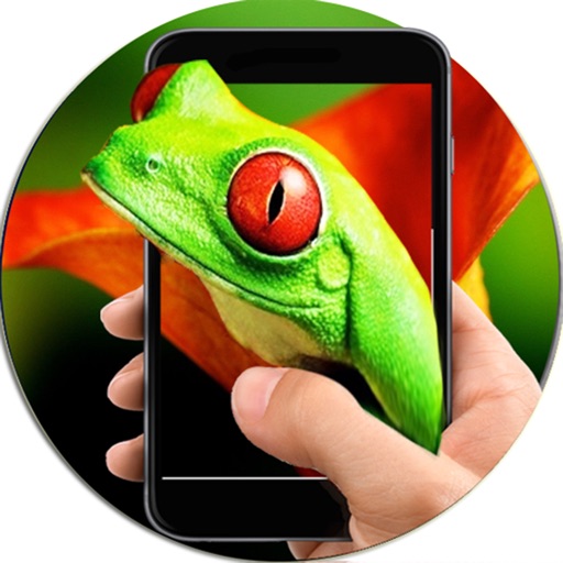 Frog On Hand In Phone Simulator icon