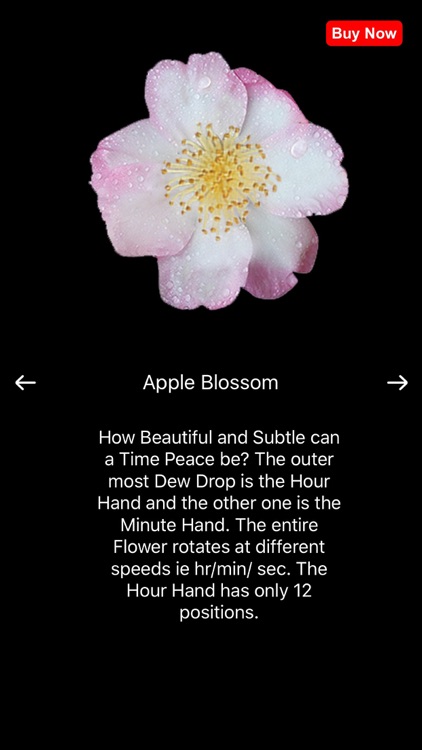 Flower Clock 2.0 screenshot-4