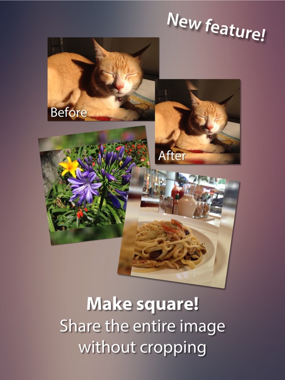 Minima - Image & VIdeo Resizer iPad screenshot