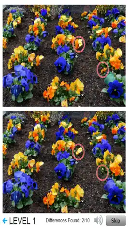 Game screenshot Find 10 Differences Between Two Pictures apk