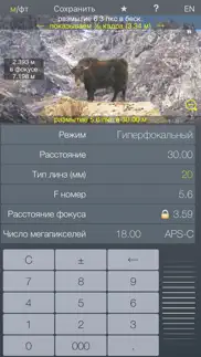 Фокус - фото калькулятор глубины резкости айфон картинки 4