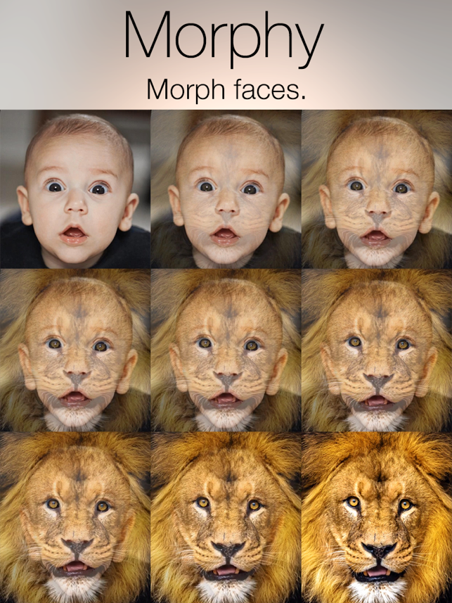 ‎Morphy - Face Morph GIF & Movie Maker Capture d'écran
