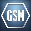 GSM 2015