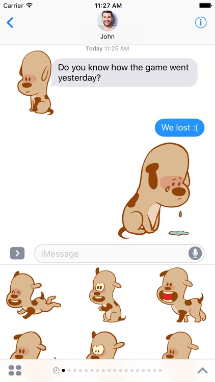 Adorable Dog