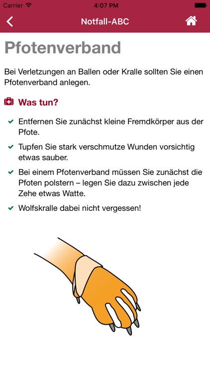 Erste Hilfe Hund