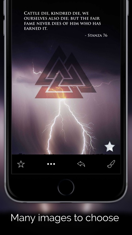 Pocket Havamal - Daily Asatru Meditations of Wisdom from Odin - Thorpe Translation screenshot-3
