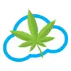 420 Connect App Positive Reviews