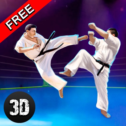 Karate Do Fighting Tiger 3D - 2 Icon