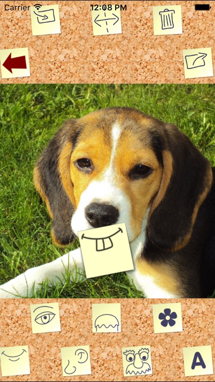 Paper Face: Zany Sticky Note Photo Montage