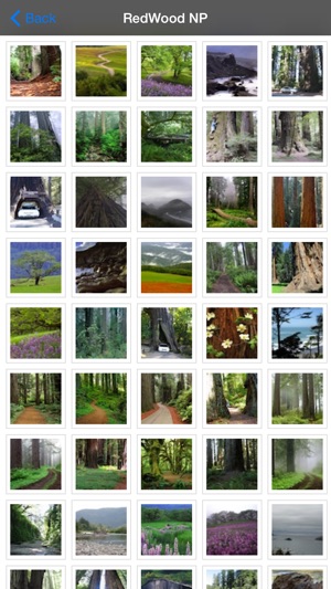 Redwood National Park(圖5)-速報App
