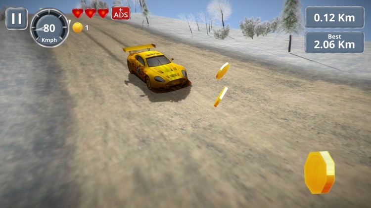 Rally Racing 3D