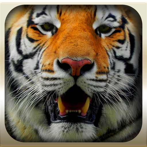 Epic Animal Hunter 3D Simulation 2016 Pro : Wild Jungle iOS App