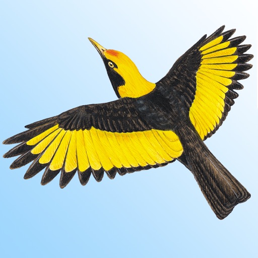 The Morcombe & Stewart Guide to Birds of Australia iOS App