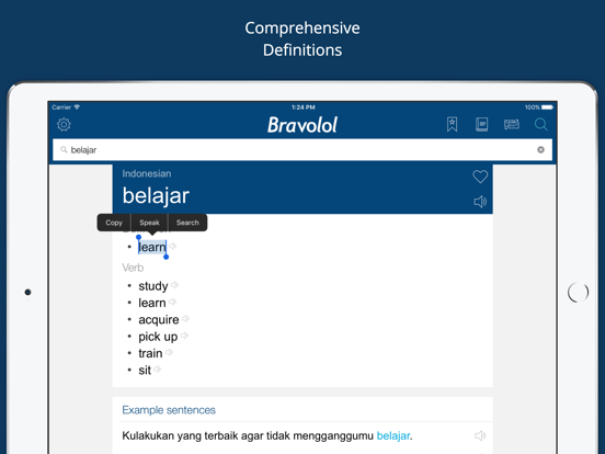 Screenshot #4 pour Indonesian English Dictionary+