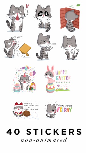 Meow the Tabby Cat(圖5)-速報App