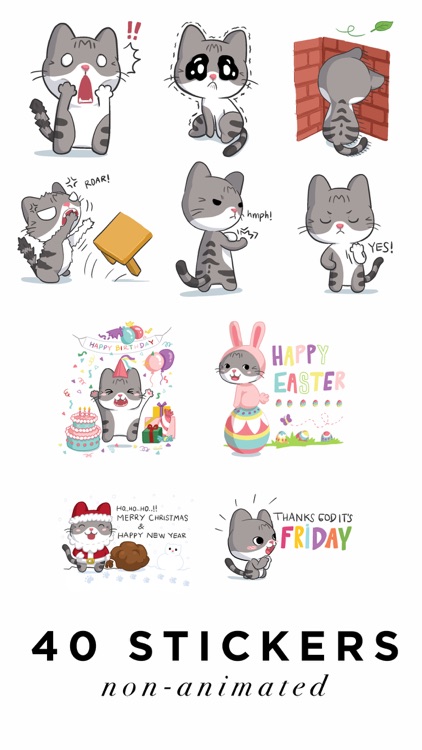 Meow the Tabby Cat screenshot-4