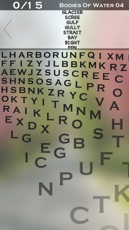 Word Search Max