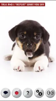 perro que habla iphone capturas de pantalla 1