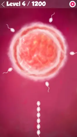 Game screenshot Rush in Love - Sperm Journey mod apk