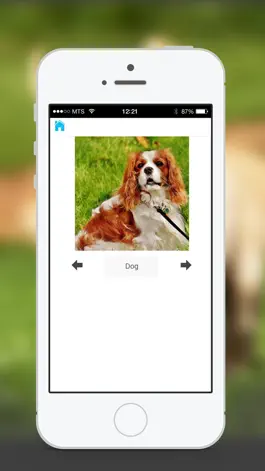 Game screenshot Animal Sounds & Photos for Kids mod apk