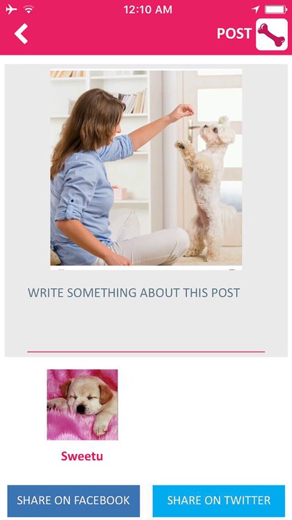 PetSutra for Pet Lovers